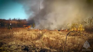Пожары в природных зонах не сдают своих позиций