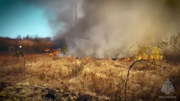 Ландшафтные пожары в ЛНР: за сутки выгорело 175 гектаров