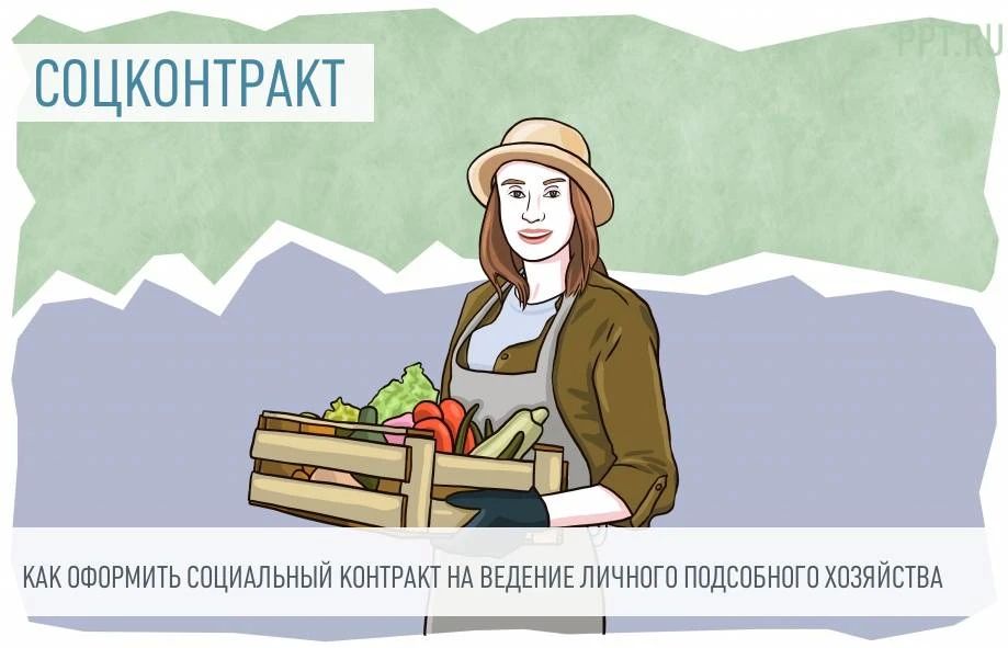 Жителям Новоайдарского муниципального округа предоставляется возможность получить от государства помощь