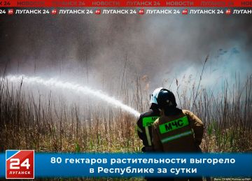 80 �������� �������������� �������� � ���������� �� �����
