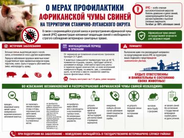 О мерах профилактики африканской чумы свиней на территории Станично-Луганского округа