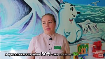 «ПРОСТУДА ИЛИ ОРВИ?»: ПОЧЕМУ ДЕТИ БОЛЕЮТ ОСЕНЬЮ