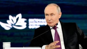 Школы и детсады с октября смогут делать закупки напрямую через маркетплейсы — Путин