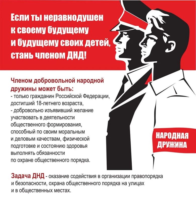ДЛЯ ЧЕГО НУЖНЫ ДРУЖИННИКИ?