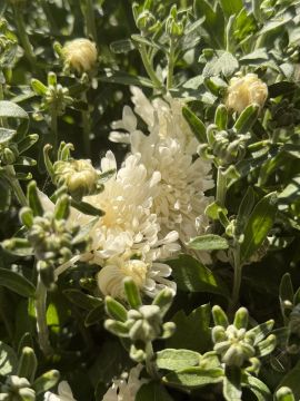 � ������ �����, ������ ����������� �������������� ������!