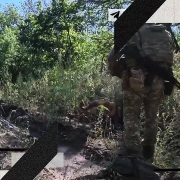 ������� ����� �����������. ������� ������� ����� ���������� "������"�