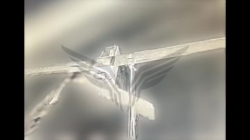 ����� �� ���� ��� �������� ������� ��������