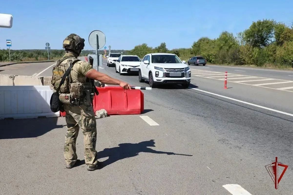 На блокпостах ЛНР за месяц задержали 38 человек по подозрению в преступлениях