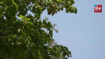 ������� � �����: ��� �������� ������� � ����-����