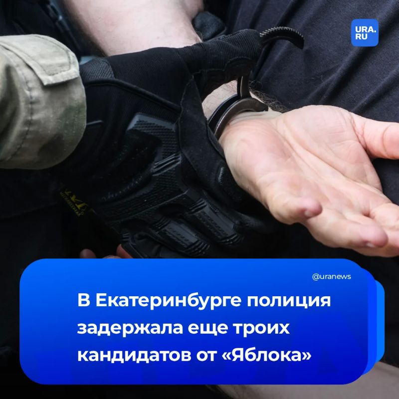 «Яблоко» сообщает о задержании еще трех свердловских партийцев