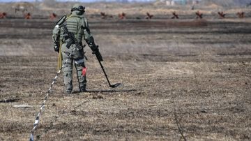 154 взрывоопасных предмета обезвредили в ЛНР за сутки