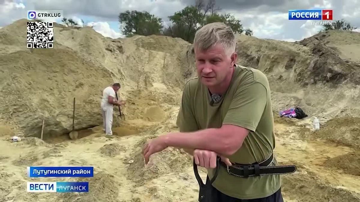 В Лутугинском районе ищут останки древних морских обитателей