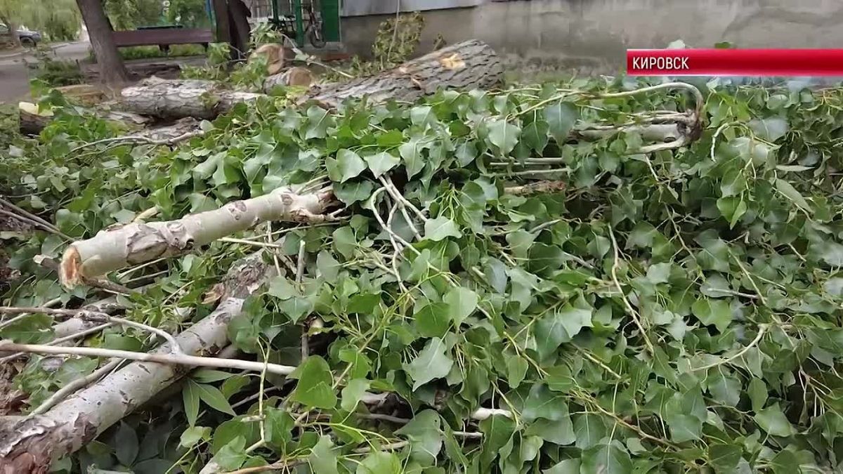 г. КИРОВСК. КИРОВСК ПРИВОДЯТ В ПОРЯДОК ПЕРЕД ЗИМОЙ