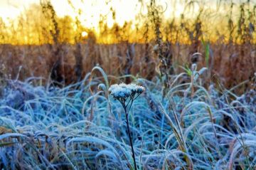 � ��� ��������� ��������� �� 4 �C