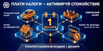 Плати налоги - активируй спокойствие!