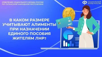 Как учитывают алименты при назначении единого пособия в ЛНР
