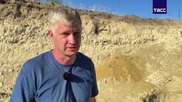 В ЛНР нашли останки черепах старше 40 миллионов лет: учёные ожидают открытий