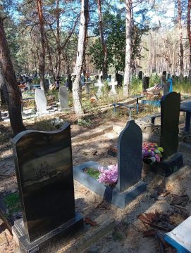 Владимир Чернев: По обращениям жителей, а также в ходе планового мониторинга, специалистами МБУ «Ритуальная служба» выполнен срез аварийных деревьев на кладбище в селе Чмыровка