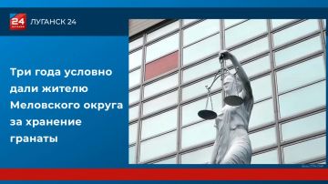 Три года условно дали жителю Меловского округа за хранение гранаты