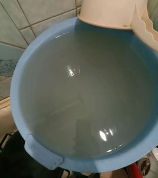 �������� ���� ������� �� ������ � �������� ���