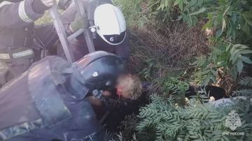 64-������ ������� ����������� � �������� ��� � ����������