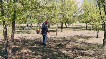 В Рубежном продолжается планомерная работа по благоустройству городской территории