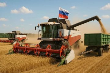 В ЛНР установили предельные размеры земельных участков, предоставляемых под деятельность крестьянских и фермерских хозяйств