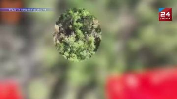 ������������ ��������: �� ������ ����� ������ ���������� 8 ���������� �������