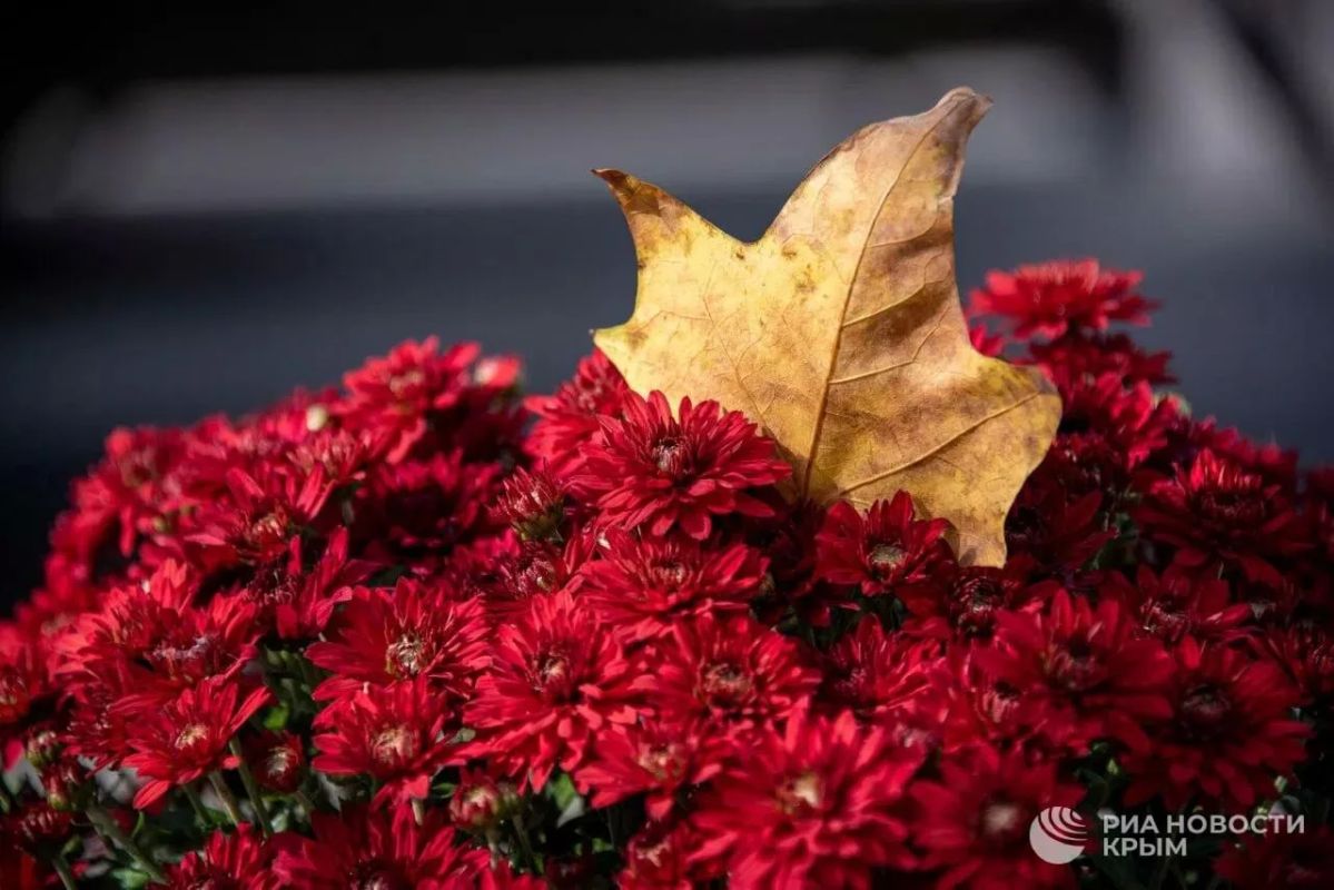 Погода на новых территориях России