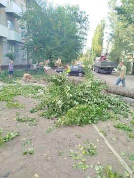 Безопасность жителей — в приоритете: по просьбе жильцов спилены аварийные деревья у одного из многоквартирных домов