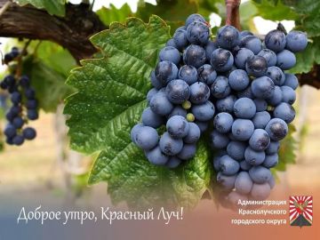 Доброе утро, краснолучане и гости города!