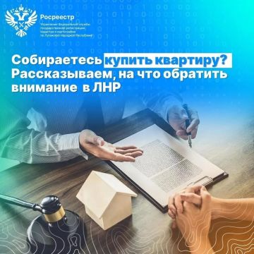 Покупаете квартиру в ЛНР? Советы от Росреестра для вашей безопасности