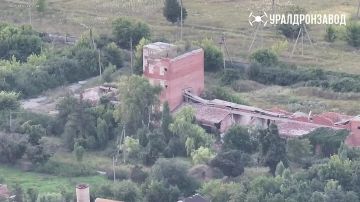Удары по боевикам ВСУ беспилотными птицами ВС РФ