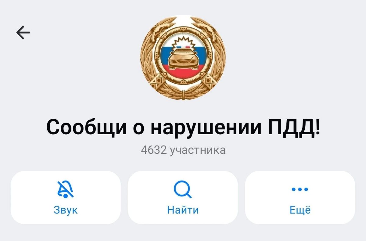 MAX разблокировал чат ГИБДД для жалоб на нарушения