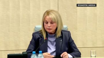 В ДНР, ЛНР, Крыму, Курской области и Новороссии разрешат голосовать на придомовых территориях — Памфилова