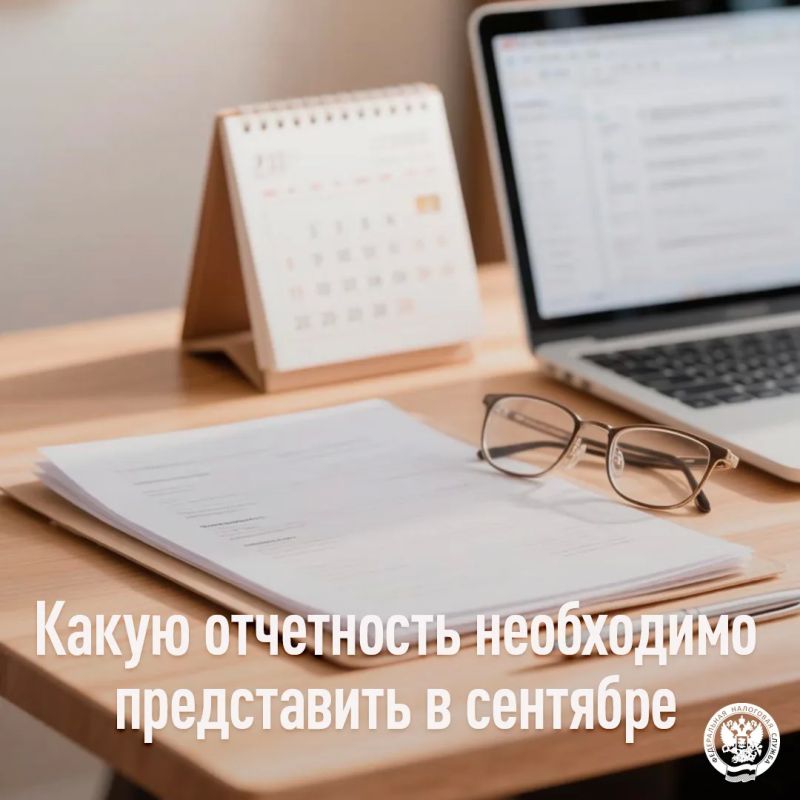 УФНС России по ЛНР напоминает о приближающихся сроках представления отчетности в сентябре 2026 года