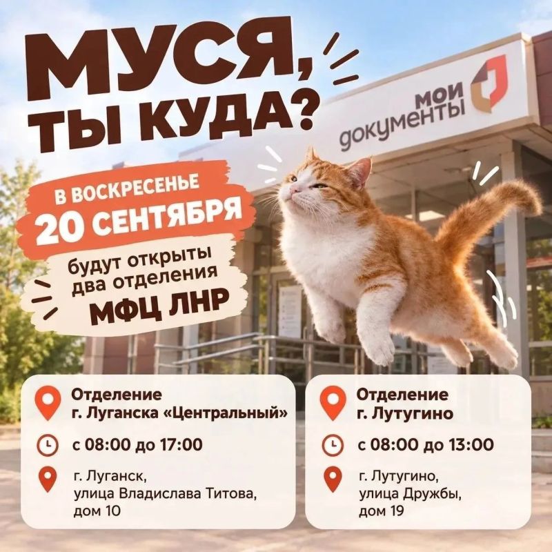 На этой неделе два офиса МФЦ ЛНР будут принимать заявителей в воскресенье