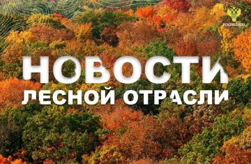 ТАСС: В Якутии нет действующих лесных пожаров