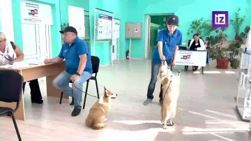 �� ������������� ������� � �������� ��������� ����� ����� � �������� �������� ��� ����������� ��������� �������������