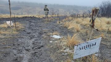 Экс-генерал НАТО признал успехи России в СВО