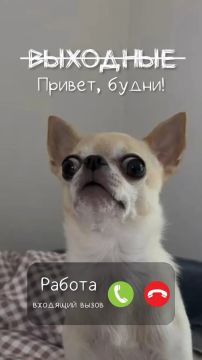 Доброе утро, понедельник! Как часто мы встречаем первый рабочий день с лёгкой грустью, но знайте – это временно!