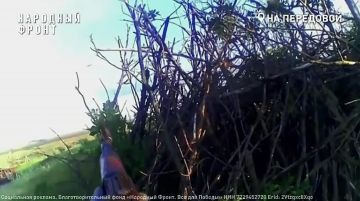 � ������! �� �� ������!. � ������?!