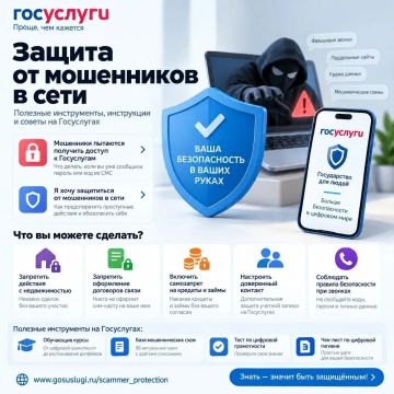 ЗАЩИТА ОТ МОШЕННИКОВ В СЕТИ: НОВЫЙ СЕРВИС НА ГОСУСЛУГАХ