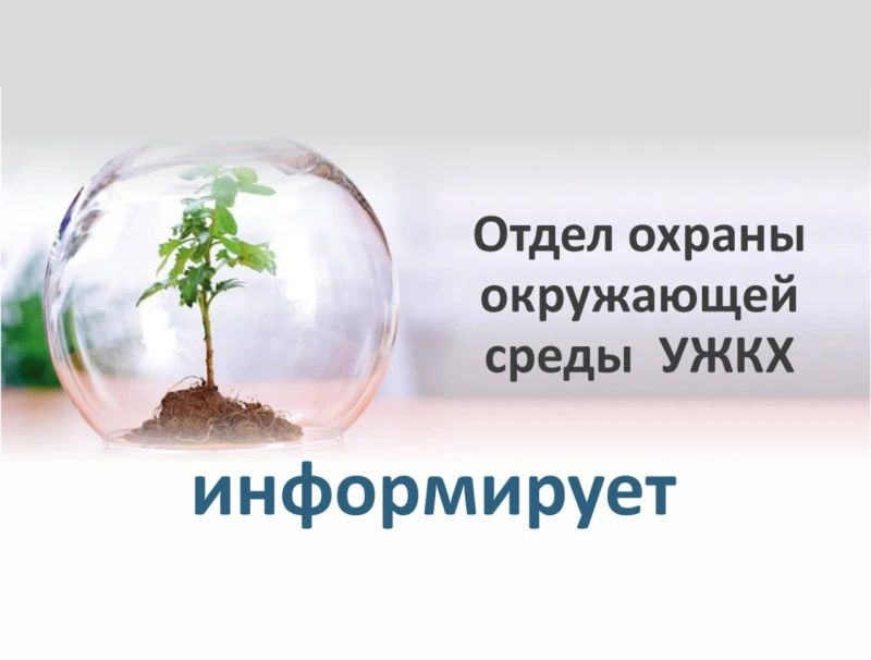 Администрация городского округа муниципальное образование городской округ город Красный Луч Луганской Народной Республики (далее - Администрация города) в соответствии с п.п. 7 п. 4.2 Порядка вырубки (уничтожения), обрезки и...