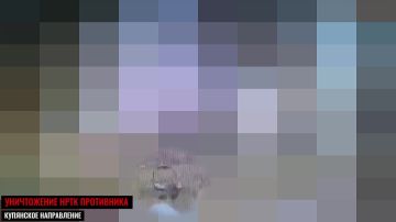 На связи. Святогор жарит свинину — день 377-ой