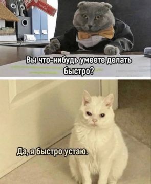 Температура: сейчас +16°C, днём — +22°C