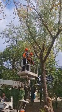 Работа по обращениям граждан продолжается