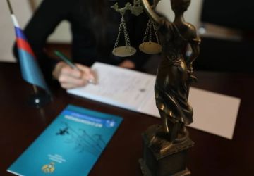 Подложные договоры и недостоверный опыт: должна ли ФАС оспаривать госконтракты, полученные с нарушением закона?