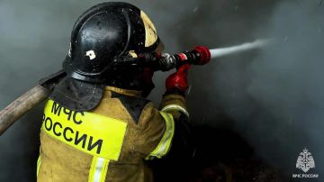 �� ����� � ��� ������������� 8 �������, ������ ����� 60 ������������� ���������