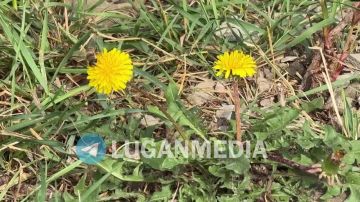 Кажется, Лутугино не готово прощаться с летом